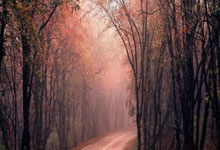 jiuyou官方网站:英超-萨拉赫破门梅里诺处子球 阿森纳2-2利物浦.