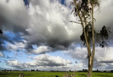 意天空:小孔塞桑&萨沃纳&鲁希参加尤文合练,本周末意甲有望复出.