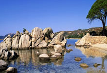 jiuyou官方网站：[CBA]内线魔术师！杨瀚森写意抛投再取两分.